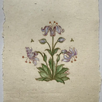 Mughal flower